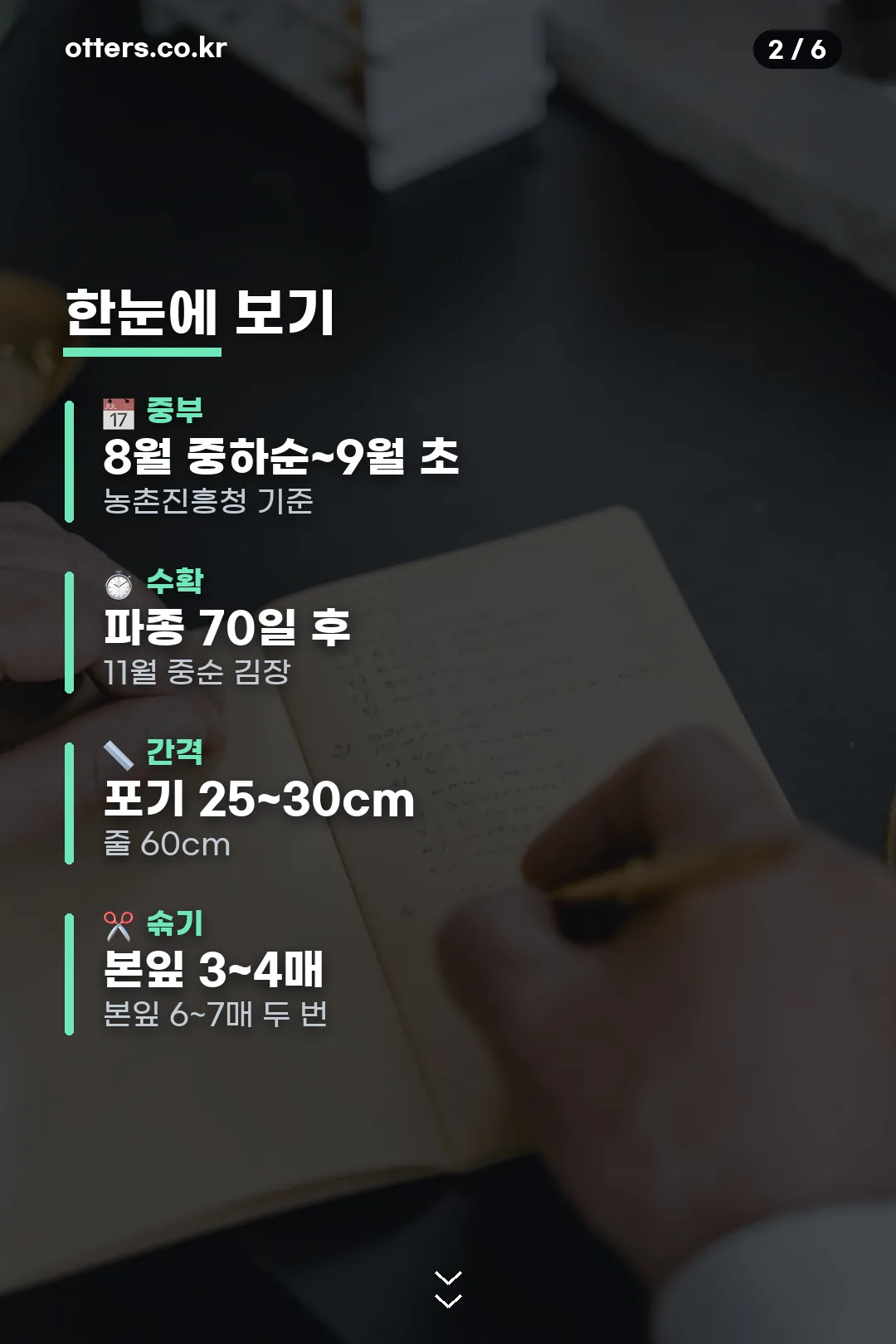 파종 적기 한눈에 요약