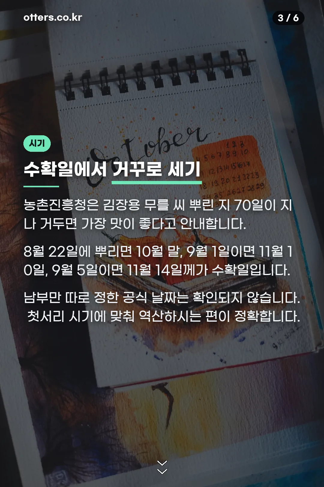 70일 역산 수확일