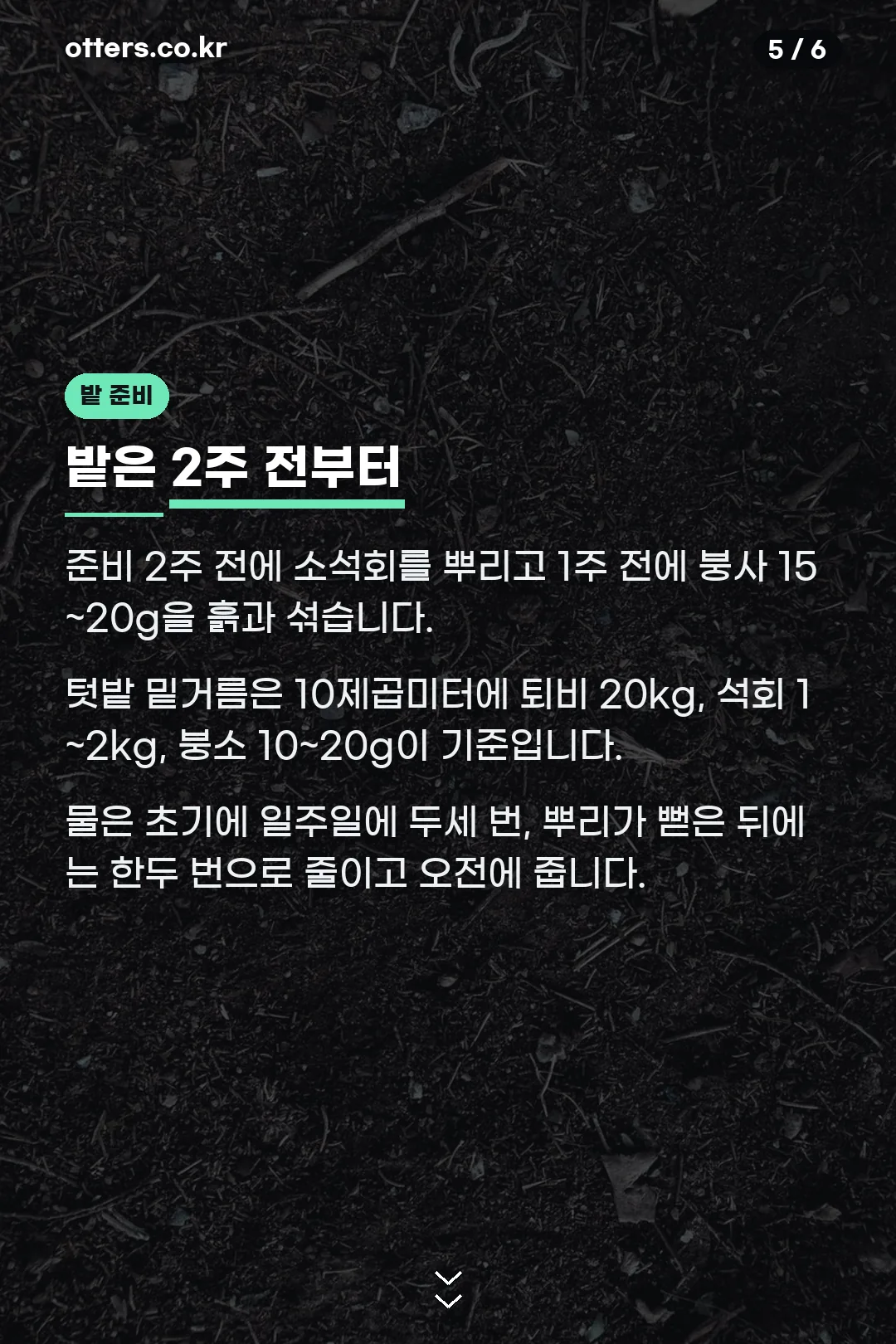 밭 만들기와 물주기