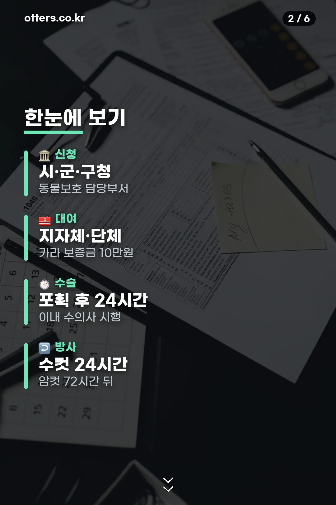 신청과 절차 요약