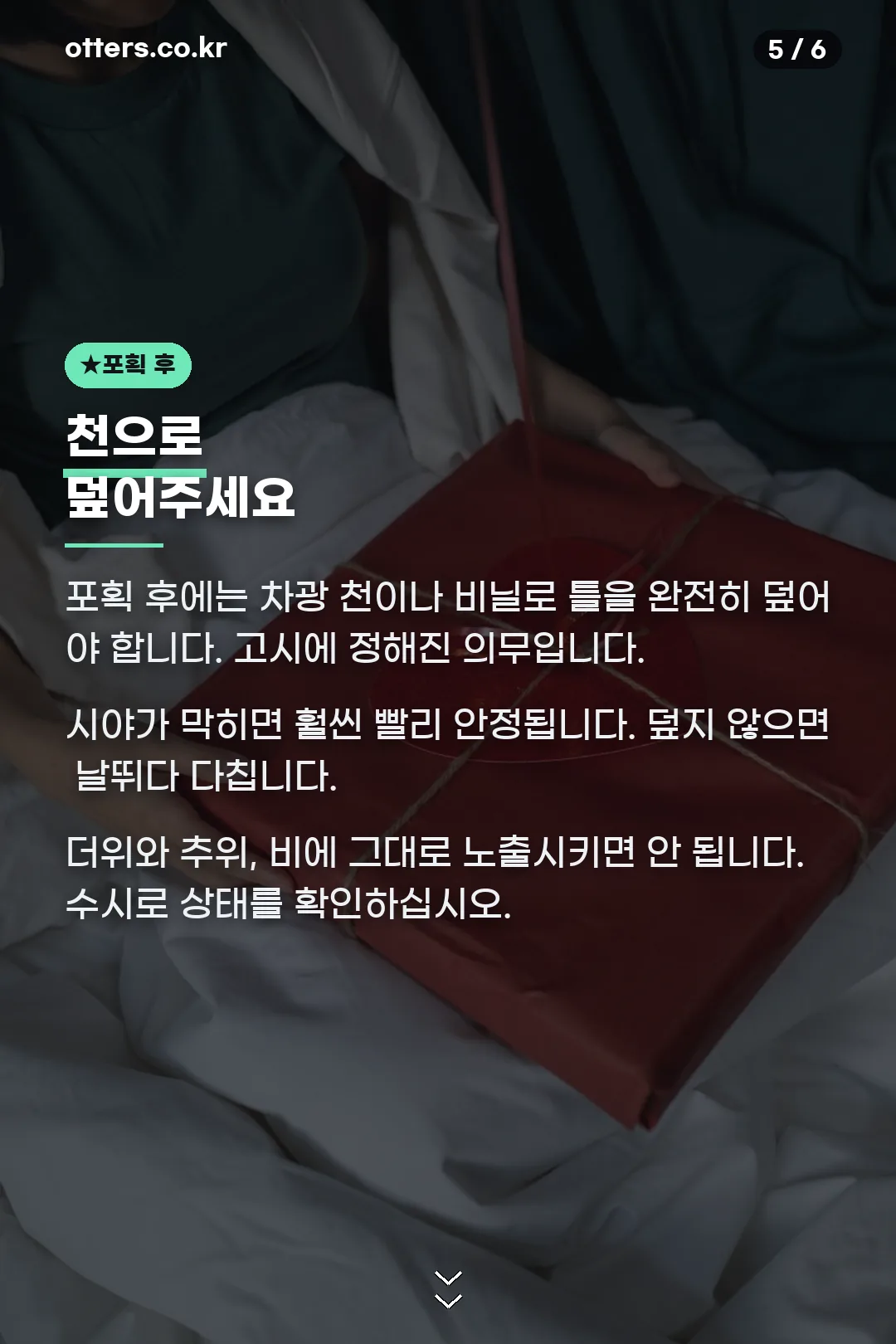포획 후 관리