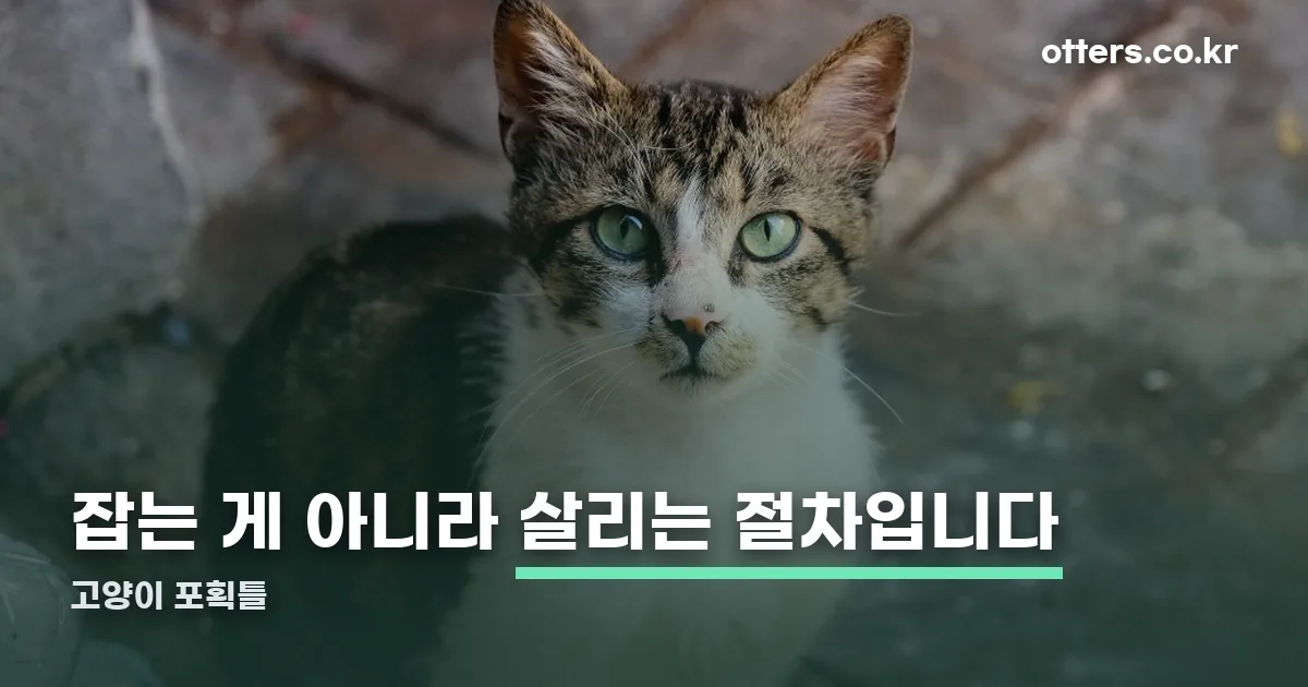 고양이 포획틀 정리 썸네일