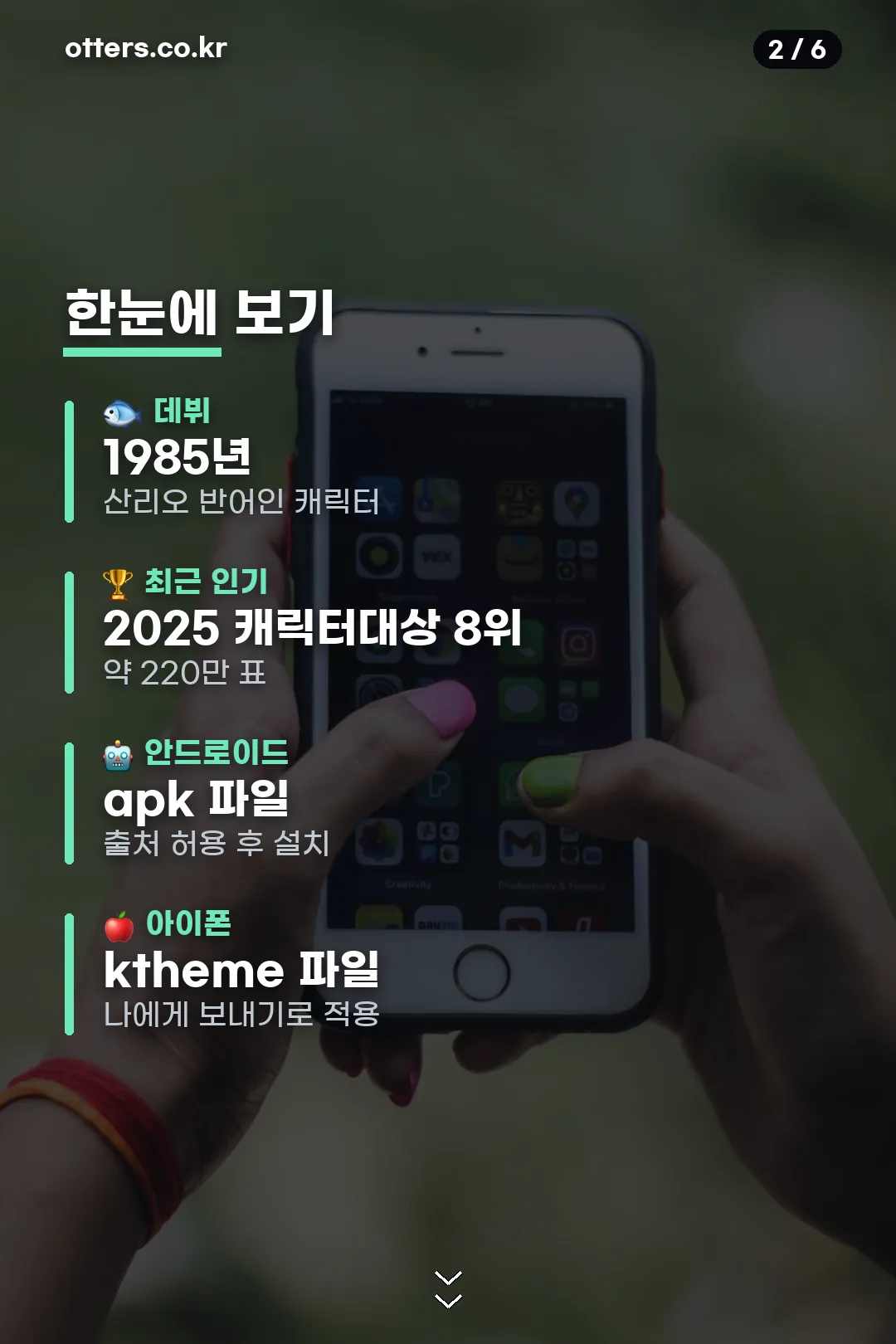 정체와 적용법 요약