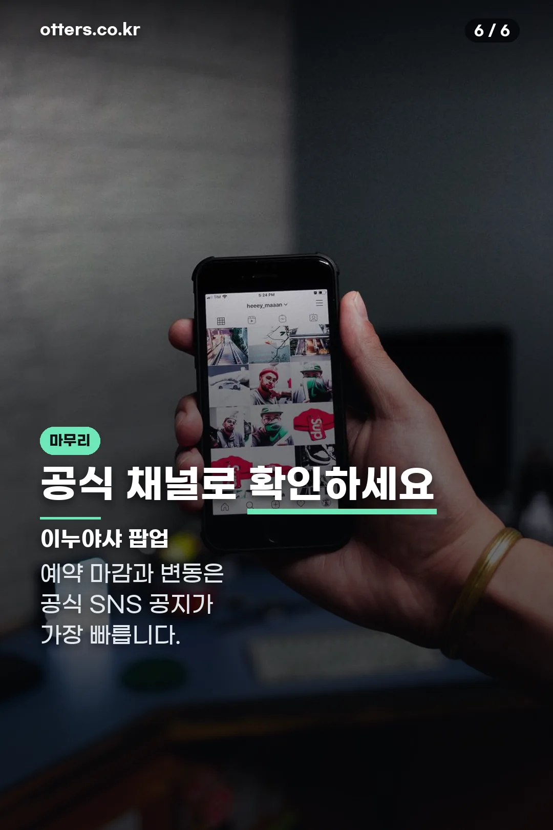 공식 채널 확인