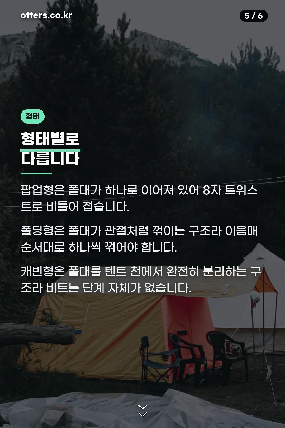 형태별 차이