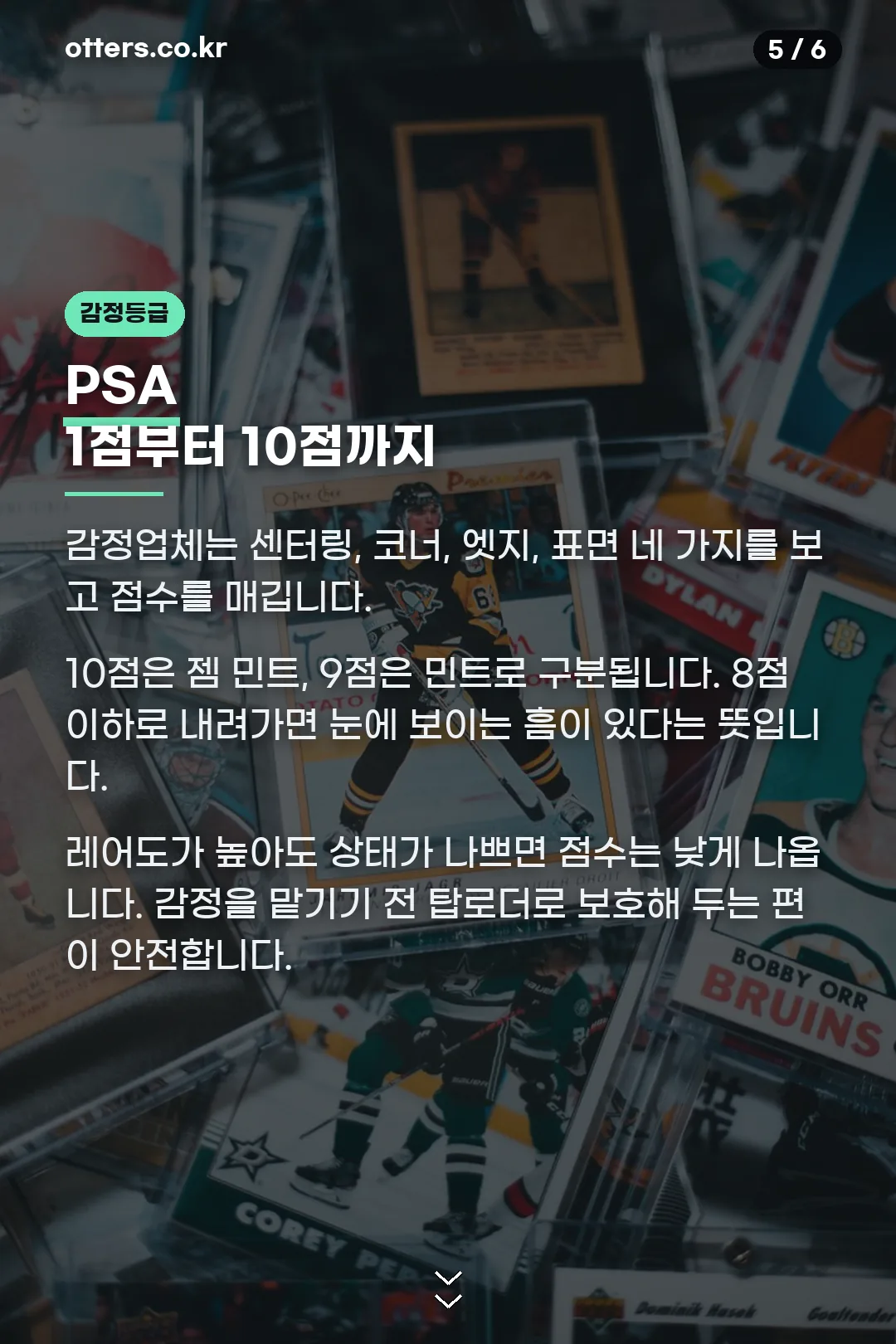 PSA 평가 기준