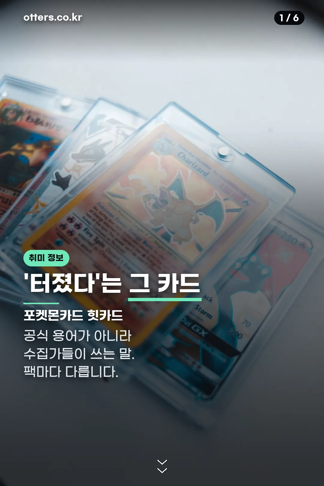 포켓몬 힛카드 표지