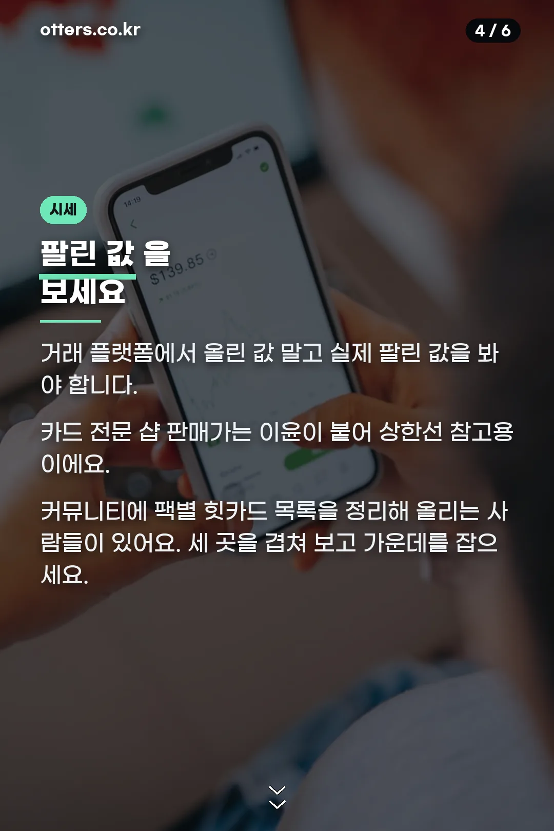 시세 확인