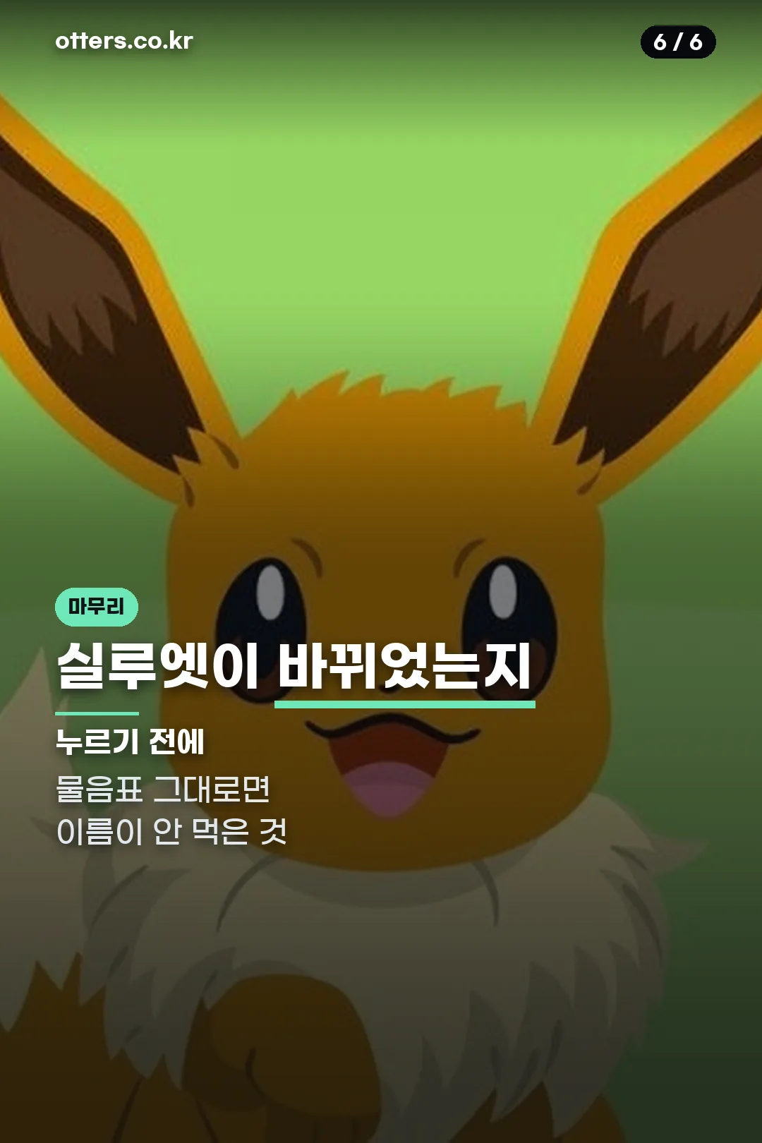 실루엣 확인 안내