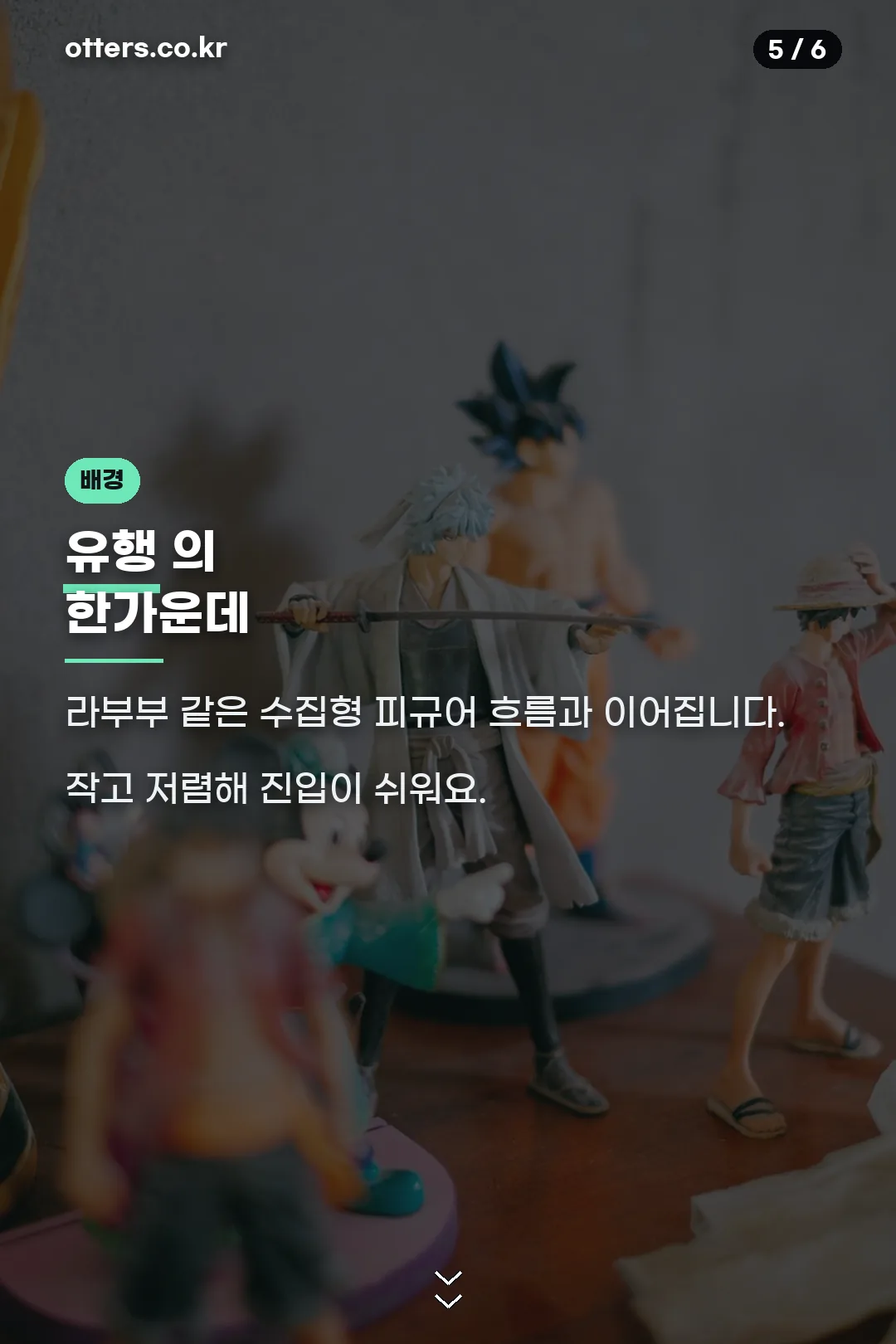 수집 유행