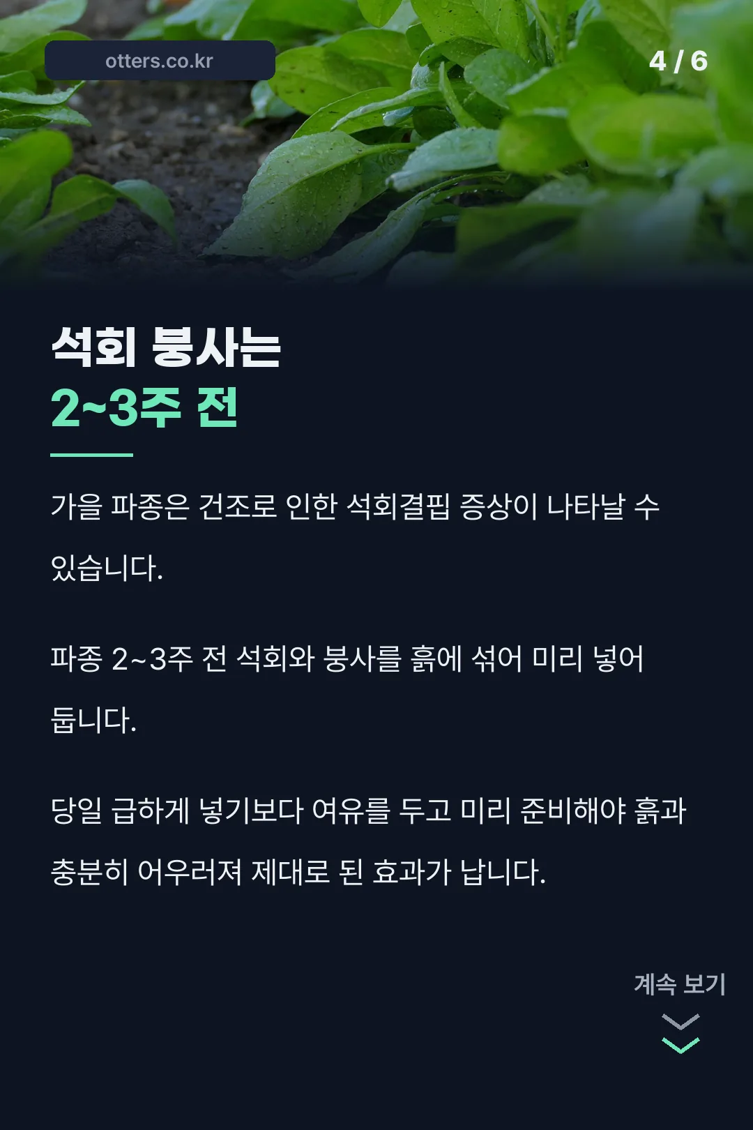 석회 붕사 시비 안내