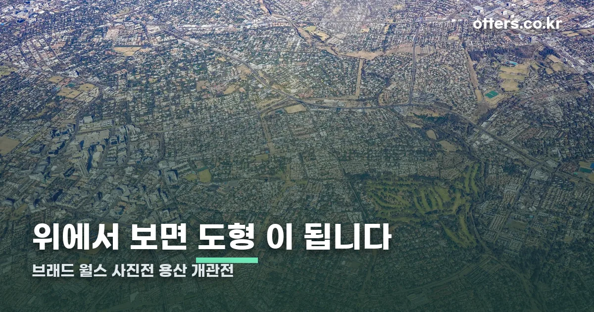 브래드 윌스 사진전 정리 썸네일