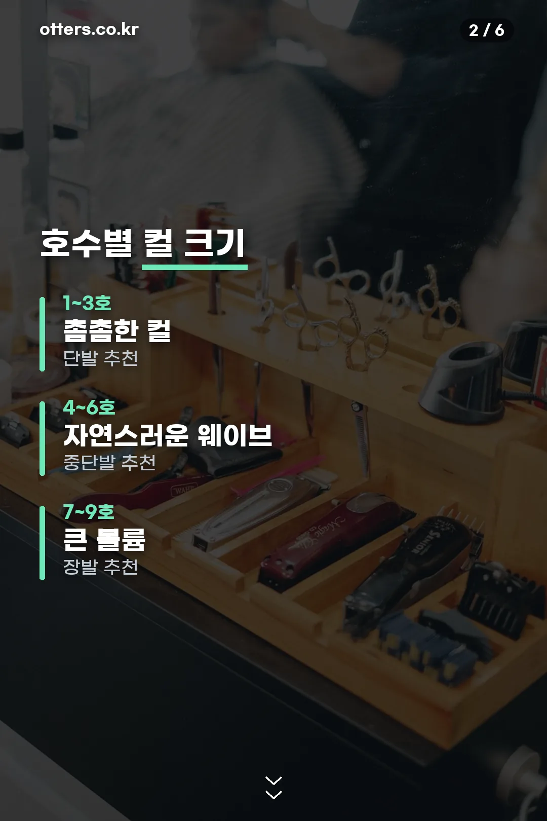 호수별 컬 크기 비교