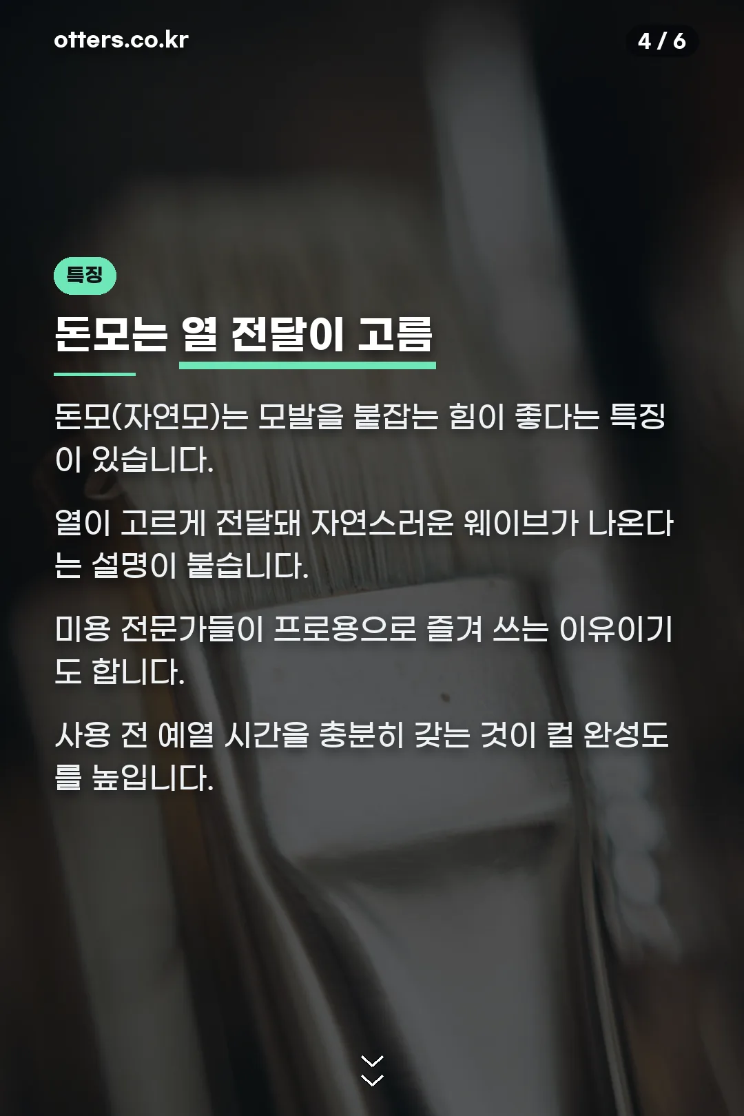 돈모 특징 안내