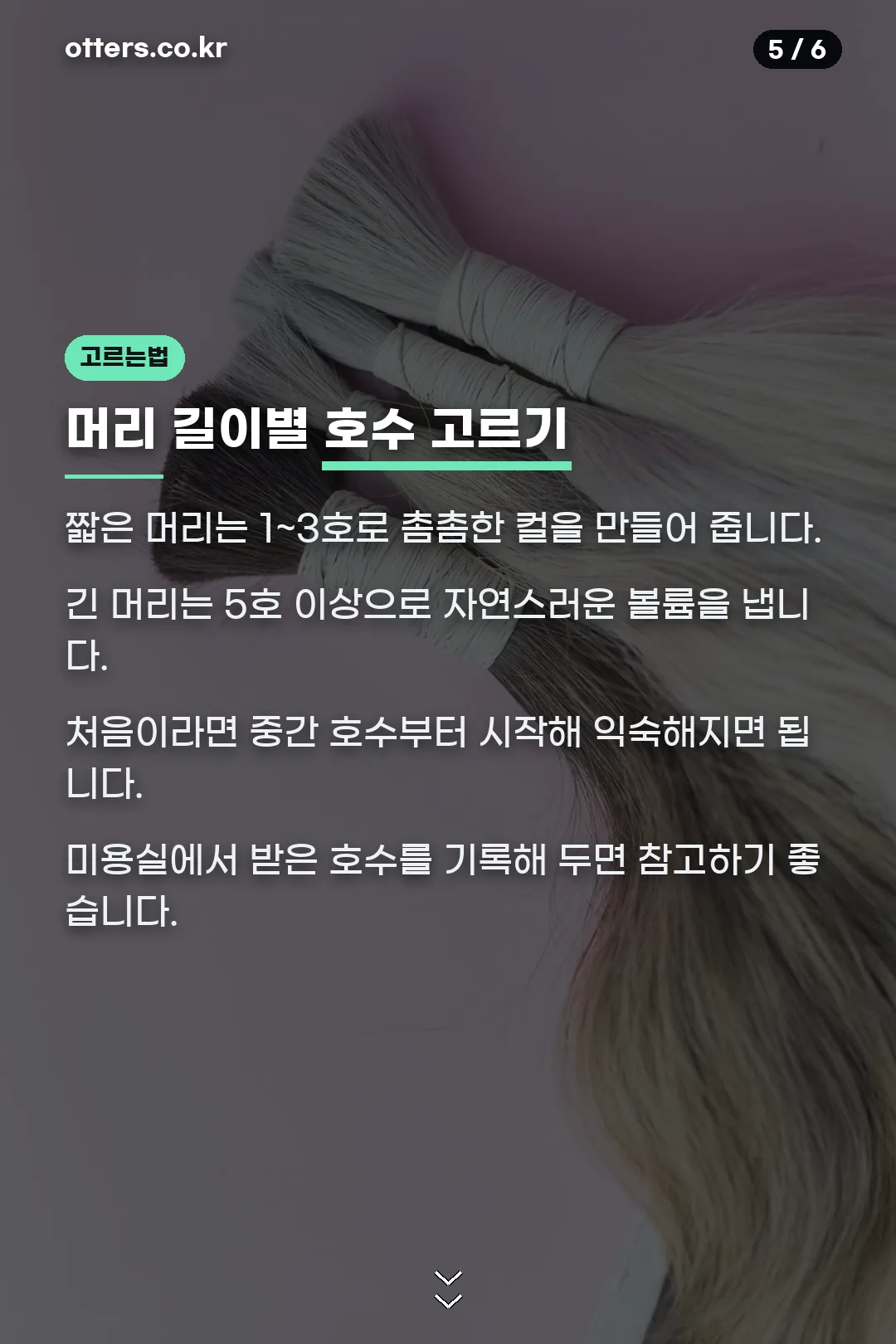 머리 길이별 고르는 법
