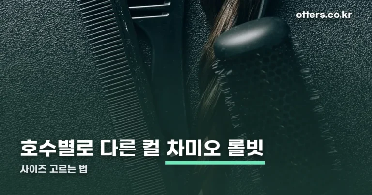 차미오 롤빗 종류 정리 — 사이즈별 고르는 법