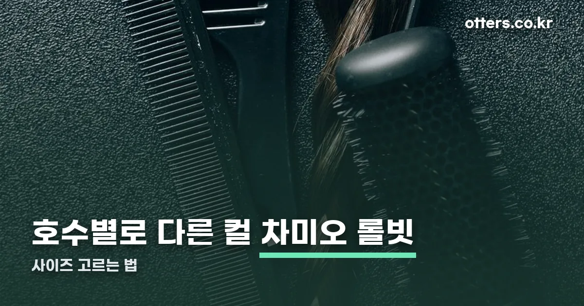 차미오 롤빗 정리 썸네일