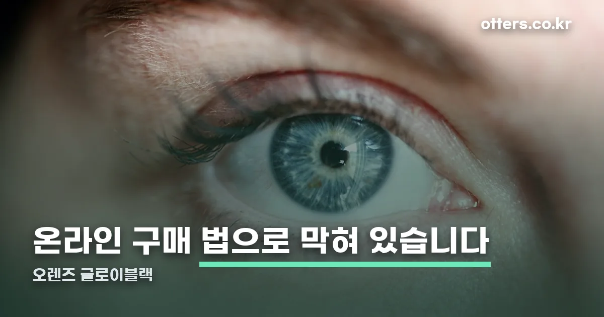 오렌즈 글로이블랙 정리 썸네일