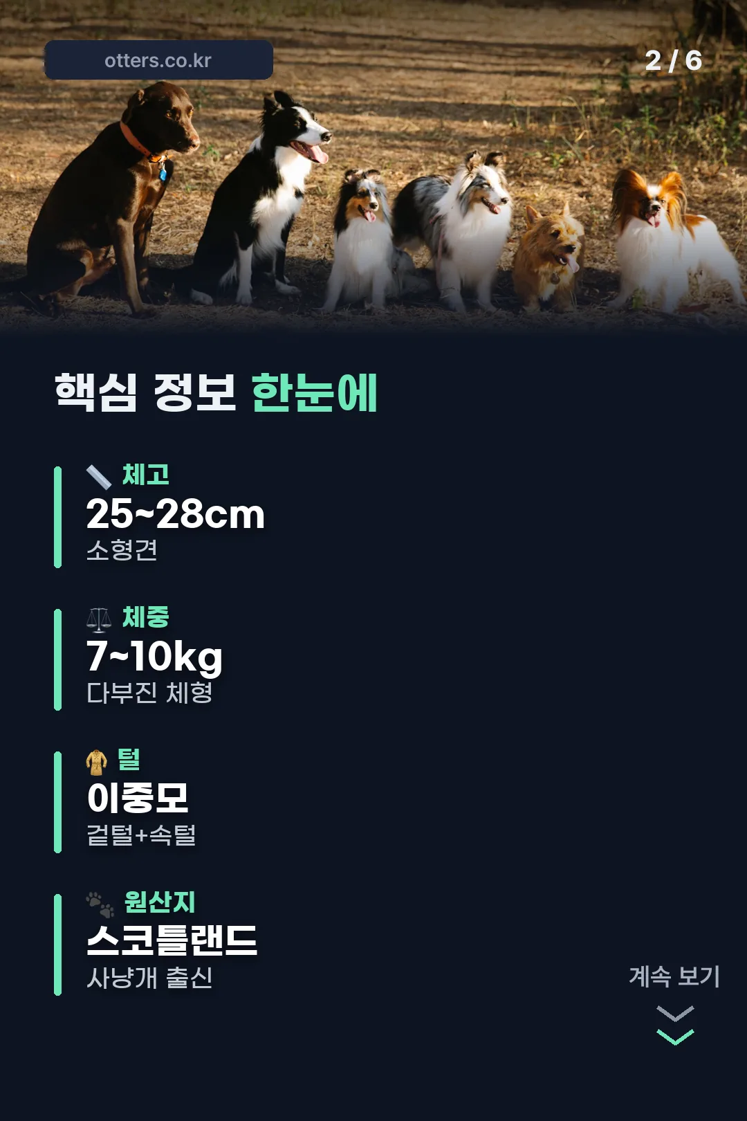 핵심 정보 요약