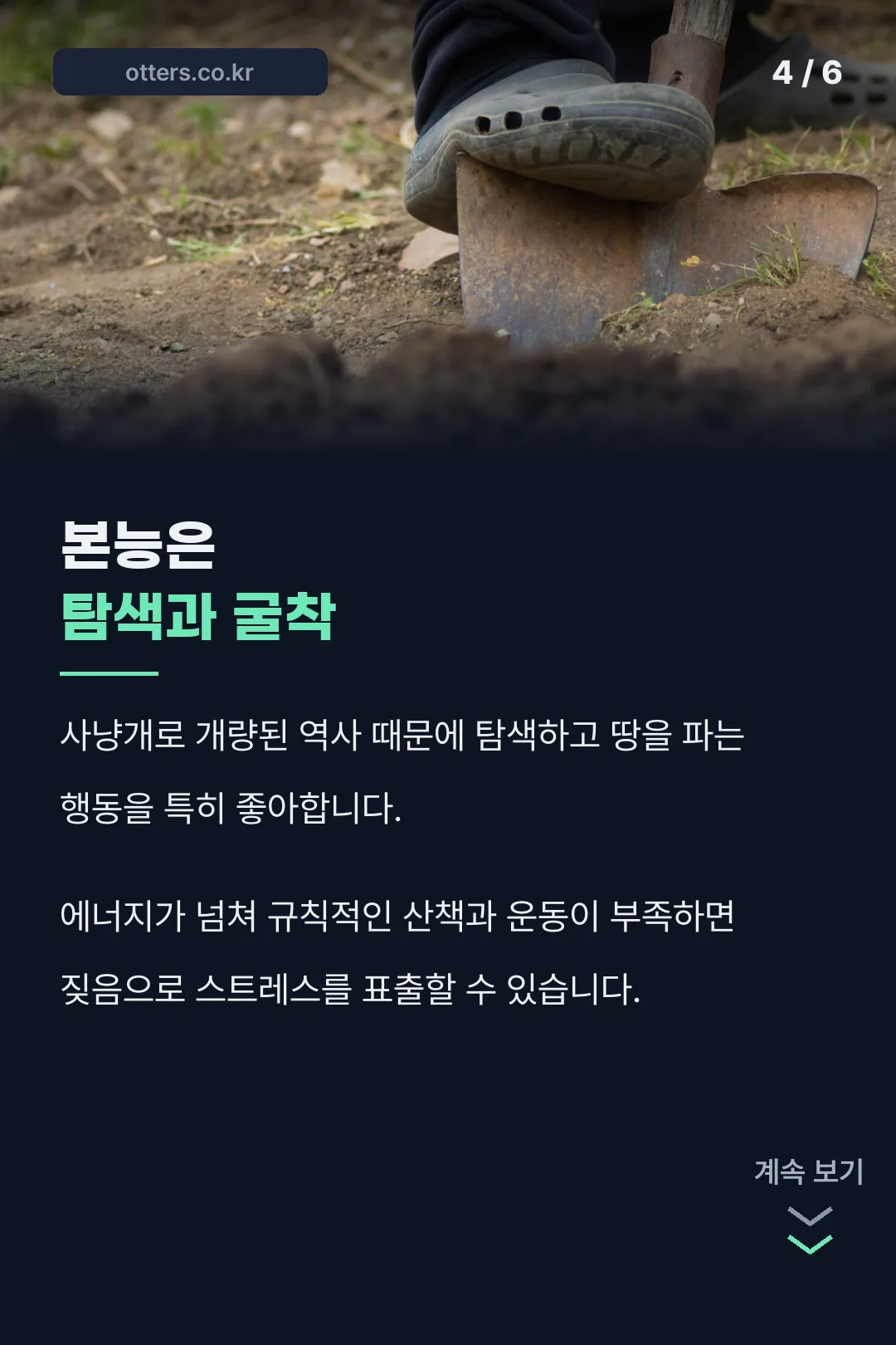 탐색·굴착 본능