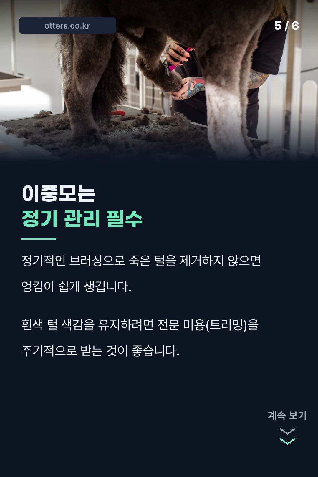 이중모 관리 팁