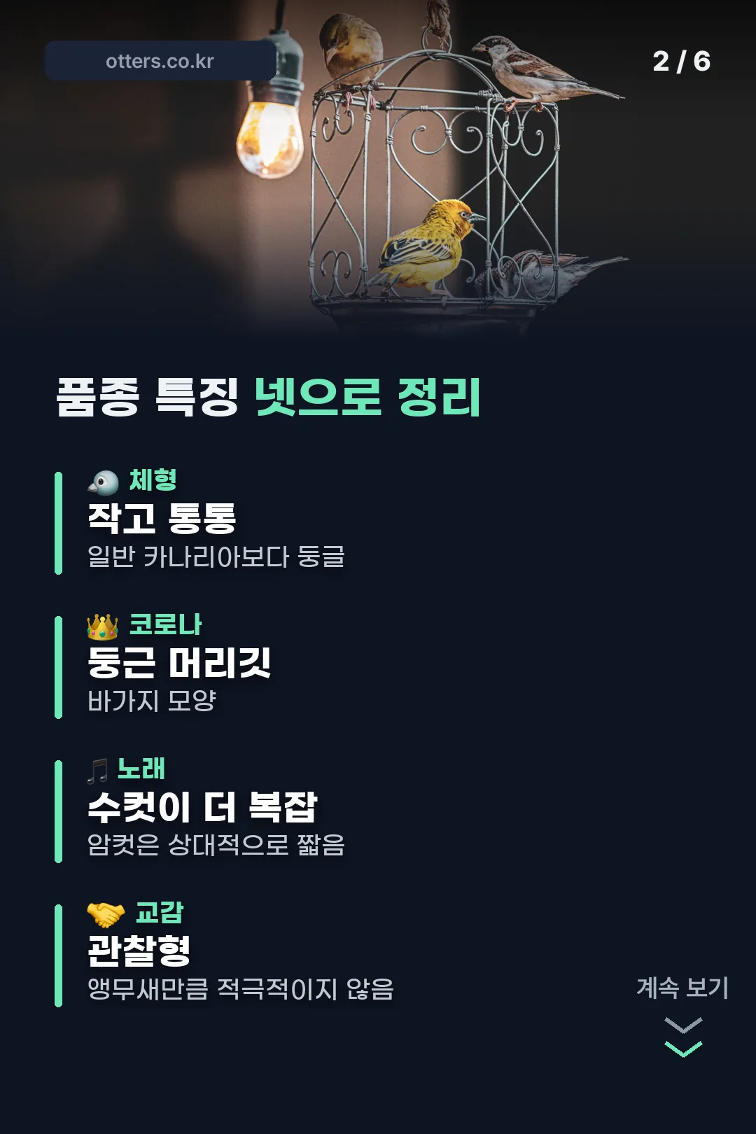 품종 특징 정리