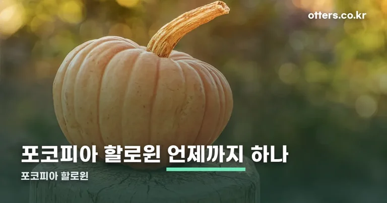 포코피아 할로윈 정리 썸네일