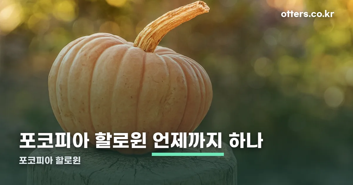 포코피아 할로윈 정리 썸네일